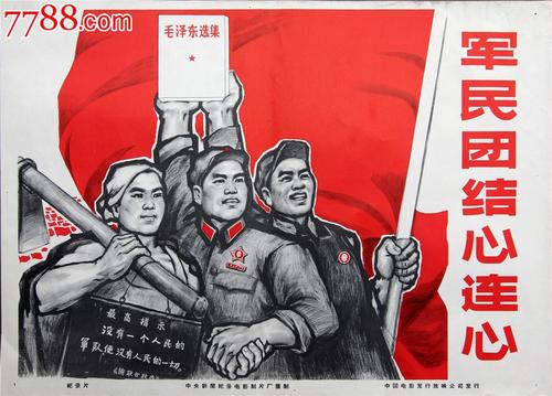 冰岛驾照作假